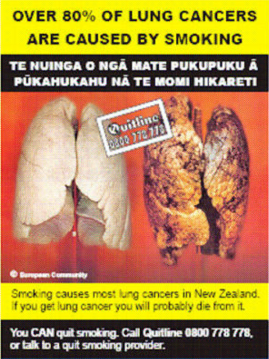 NZ 2008 Health Effects lung - diseased organ, lung cancer, gross